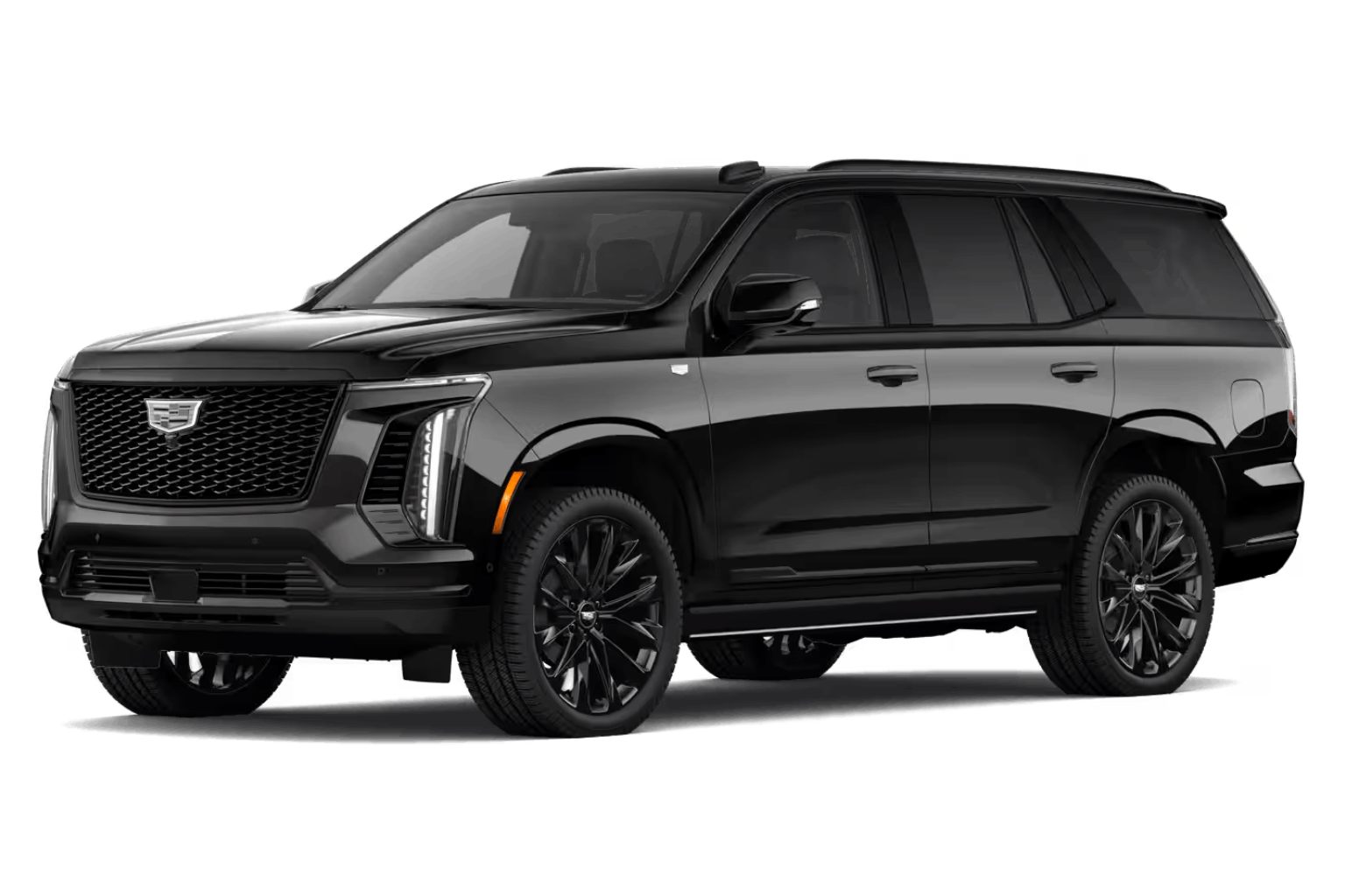 New Project - 2026-02-19T175940.158